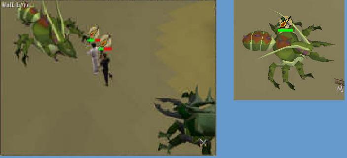 kalphite_queen_glace_zammi.jpg